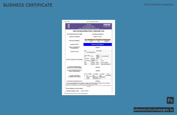 India Udyam Registrierungszertifikat – Word- und PDF-Beispielvorschau